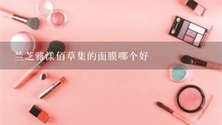 兰芝雅漾佰草集的面膜哪个好