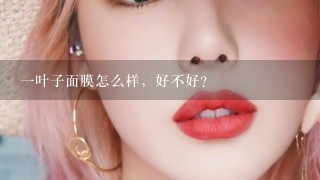 一叶子面膜怎么样，好不好？