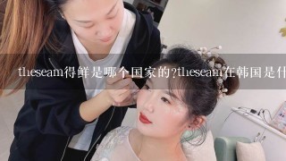 theseam得鲜是哪个国家的?theseam在韩国是什么档次