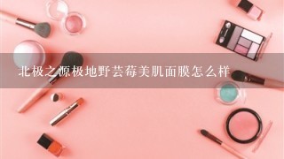 北极之源极地野芸莓美肌面膜怎么样